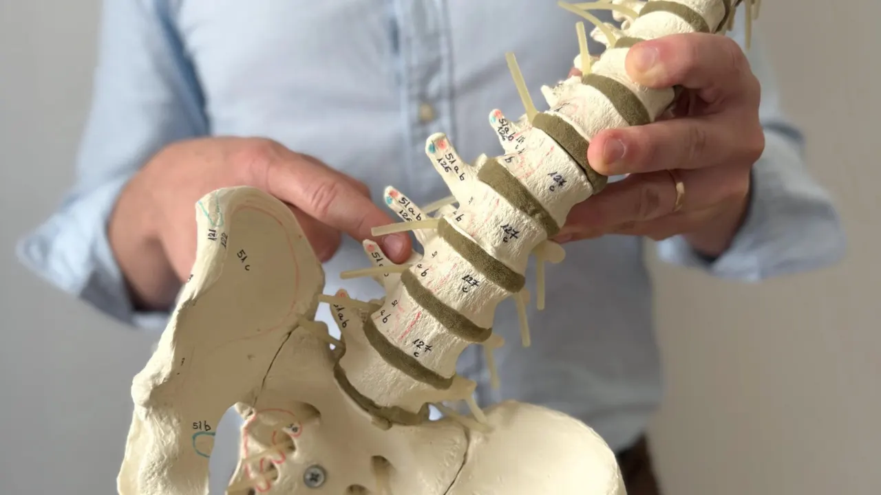Osteopathy treatment at PhysiOsteo, Budapest